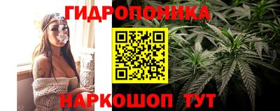 мет Ливны
