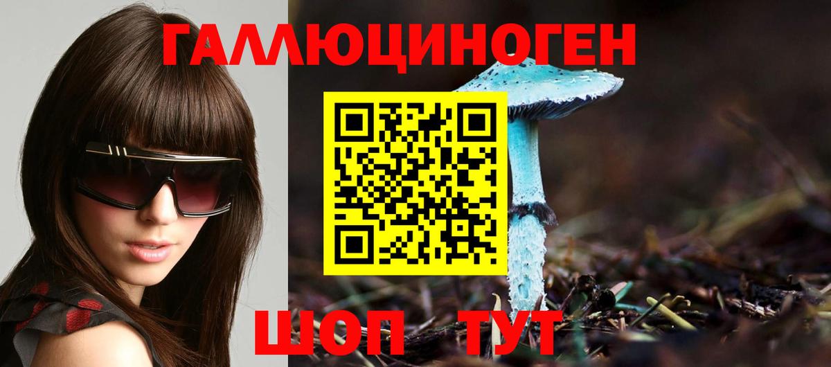 Галлюциногенные грибы мухоморы  Вход с VPN  хочу наркоту  Галлюциногенные грибы Cubensis  Гудермес 